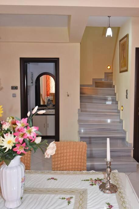 Spiros Villa Ioannina